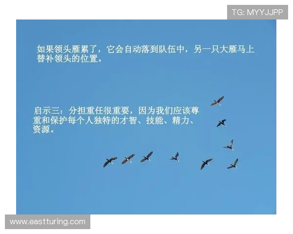 从零起步掌握足球团队协作的全面指南与实战技巧